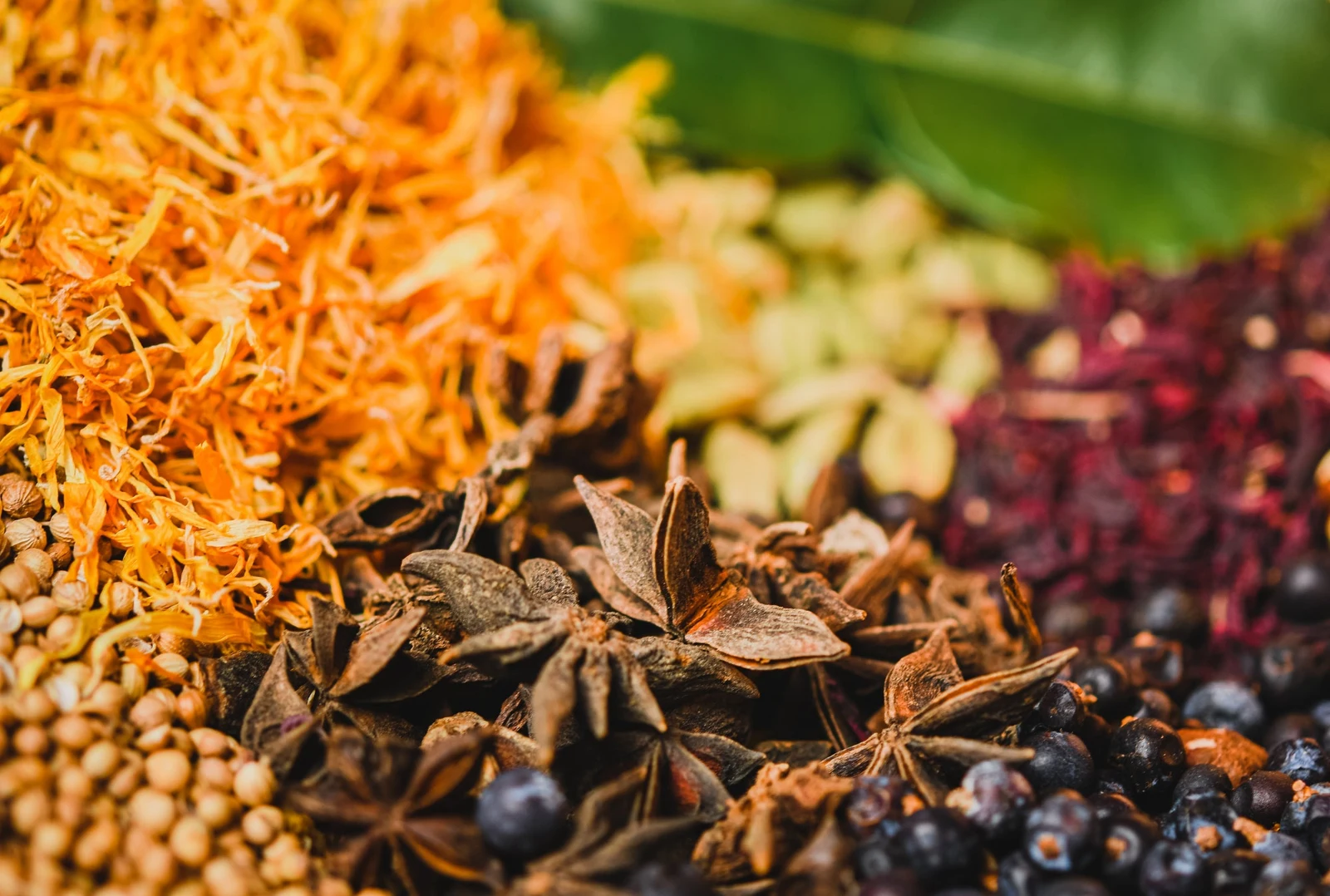 Botanicals used in Brixeur’s gin and vodka programme.